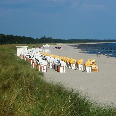 Strandapartment - Direkt Am Meer * Zingst