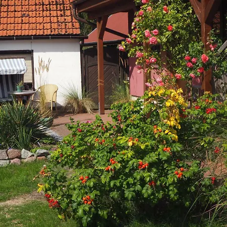 Strandapartment - Direkt Am Meer * Zingst